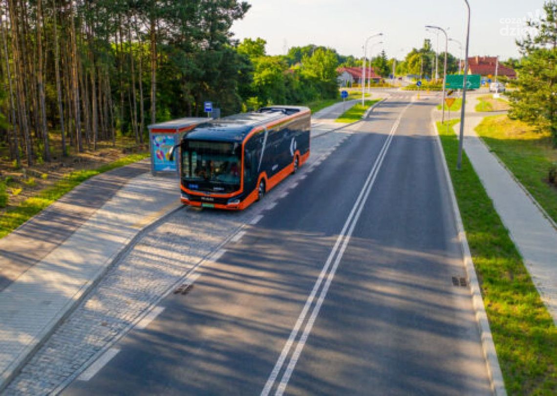 Większa grupa ostrowczan skorzysta z prawa do bezpłatnych przejazdów Większa grupa ostrowczan skorzysta z prawa do bezpłatnych przejazdów