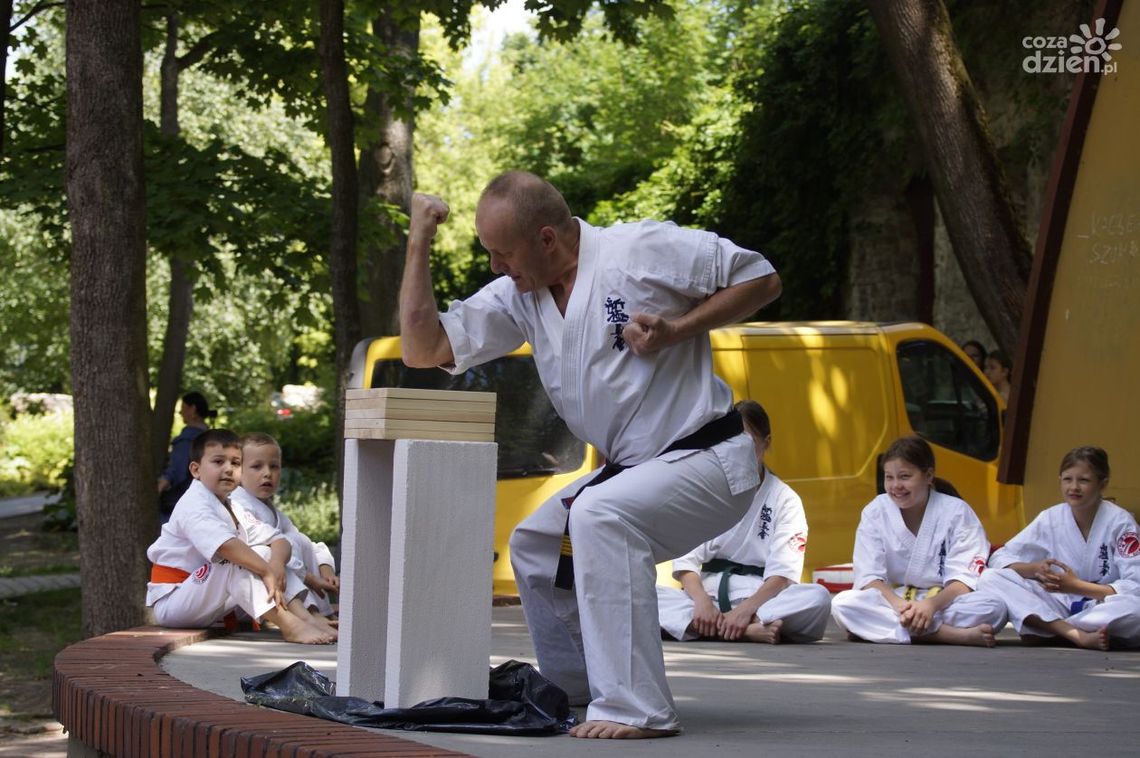 Wielki festyn w Parku Miejskim w Kielcach – inauguracja projektu „Wróżka Zębuszka” Wielki festyn w Parku Miejskim w Kielcach – inauguracja projektu „Wróżka Zębuszka”