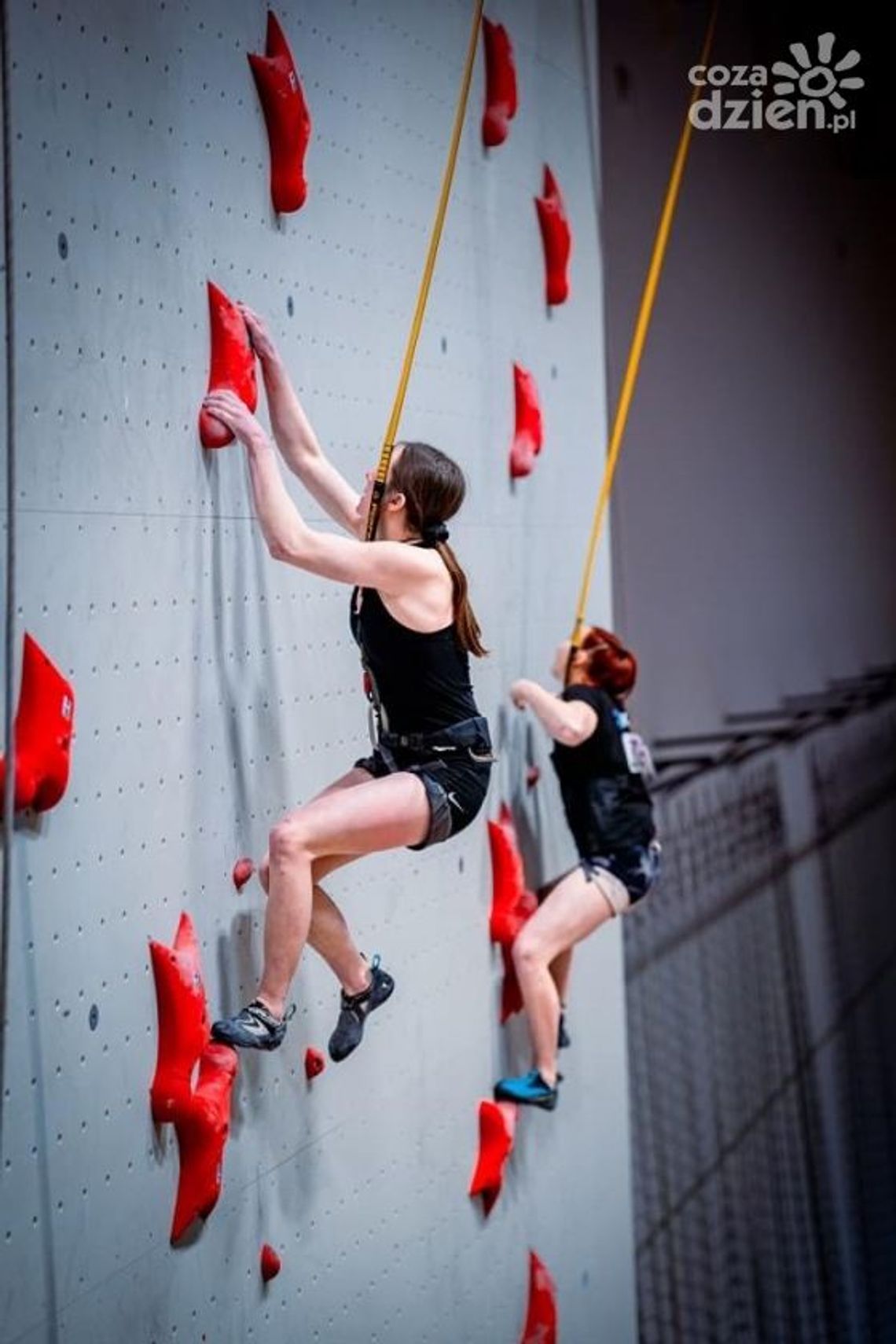 Wielki sukces Martyny Stokowiec, alpinistki z gminy Morawica Wielki sukces Martyny Stokowiec, alpinistki z gminy Morawica