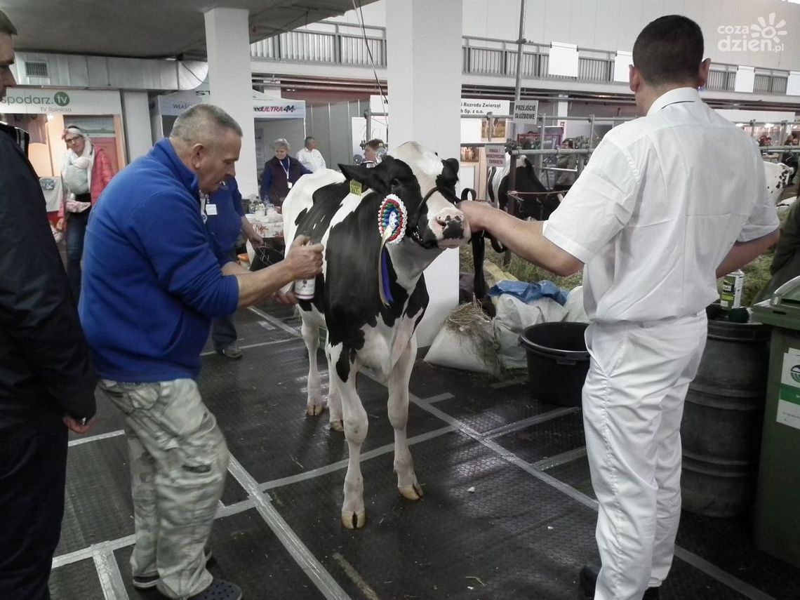 Wiesław Wyszkowski: Nasz powiat jest "czysty" Wiesław Wyszkowski: Nasz powiat jest "czysty"