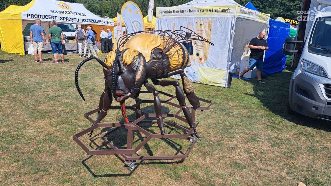 Wioska pszczelarska nową atrakcją w gminie Bałtów Wioska pszczelarska nową atrakcją w gminie Bałtów
