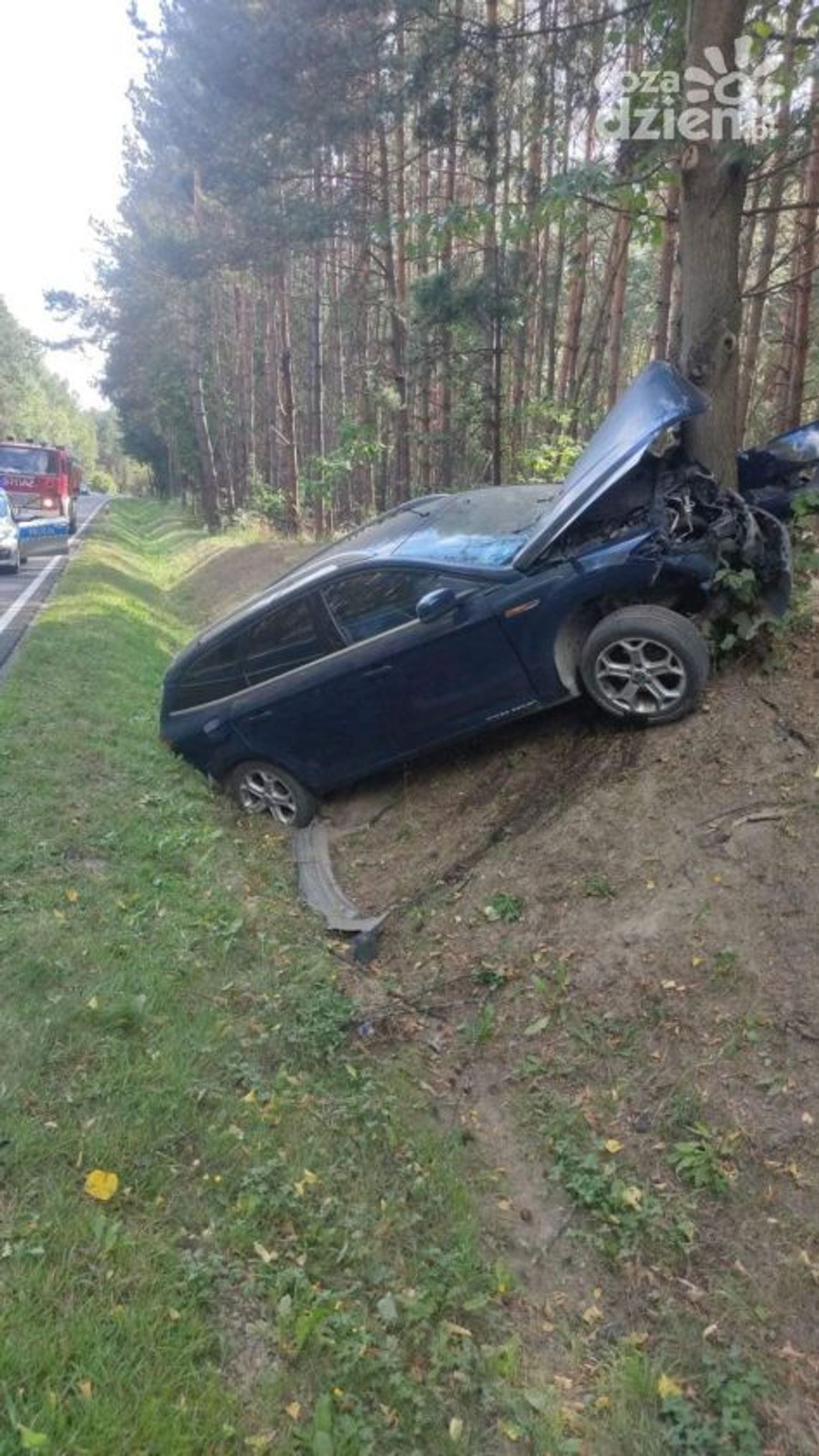 Wjechał do rowu i uderzył w drzewo. Dwie osoby trafiły do szpitala Wjechał do rowu i uderzył w drzewo. Dwie osoby trafiły do szpitala
