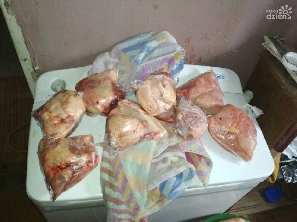 Włamał się do kurnika i ukradł drób Włamał się do kurnika i ukradł drób