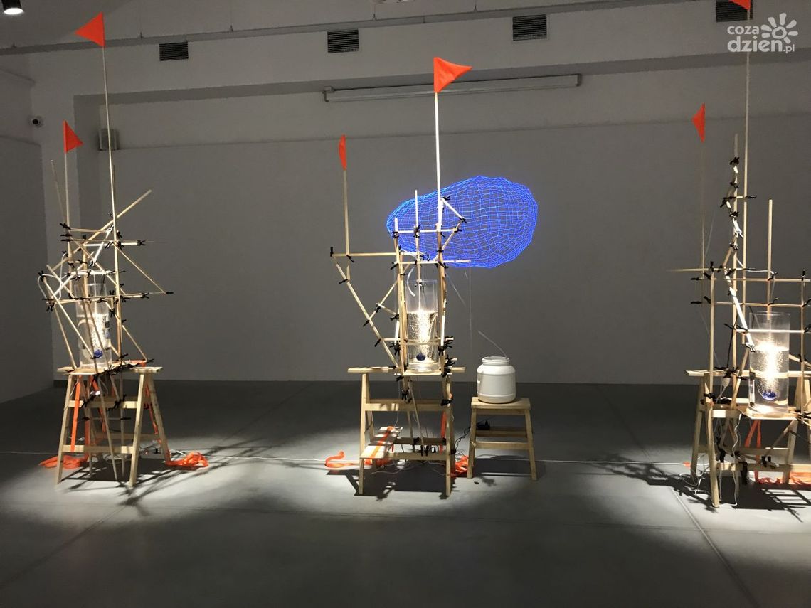 Woda, powietrze i ziemia tworzą sztukę w ostrowieckim BWA Woda, powietrze i ziemia tworzą sztukę w ostrowieckim BWA