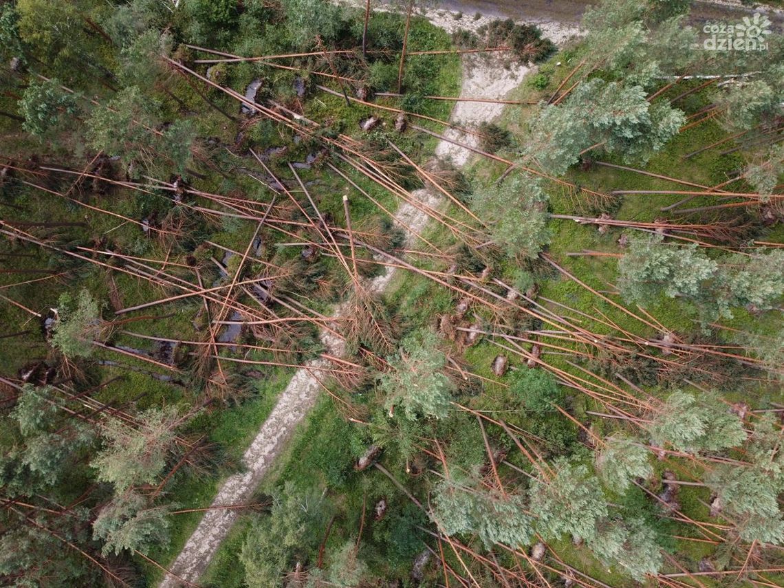 Wojewoda powołał sztab kryzysowy Wojewoda powołał sztab kryzysowy