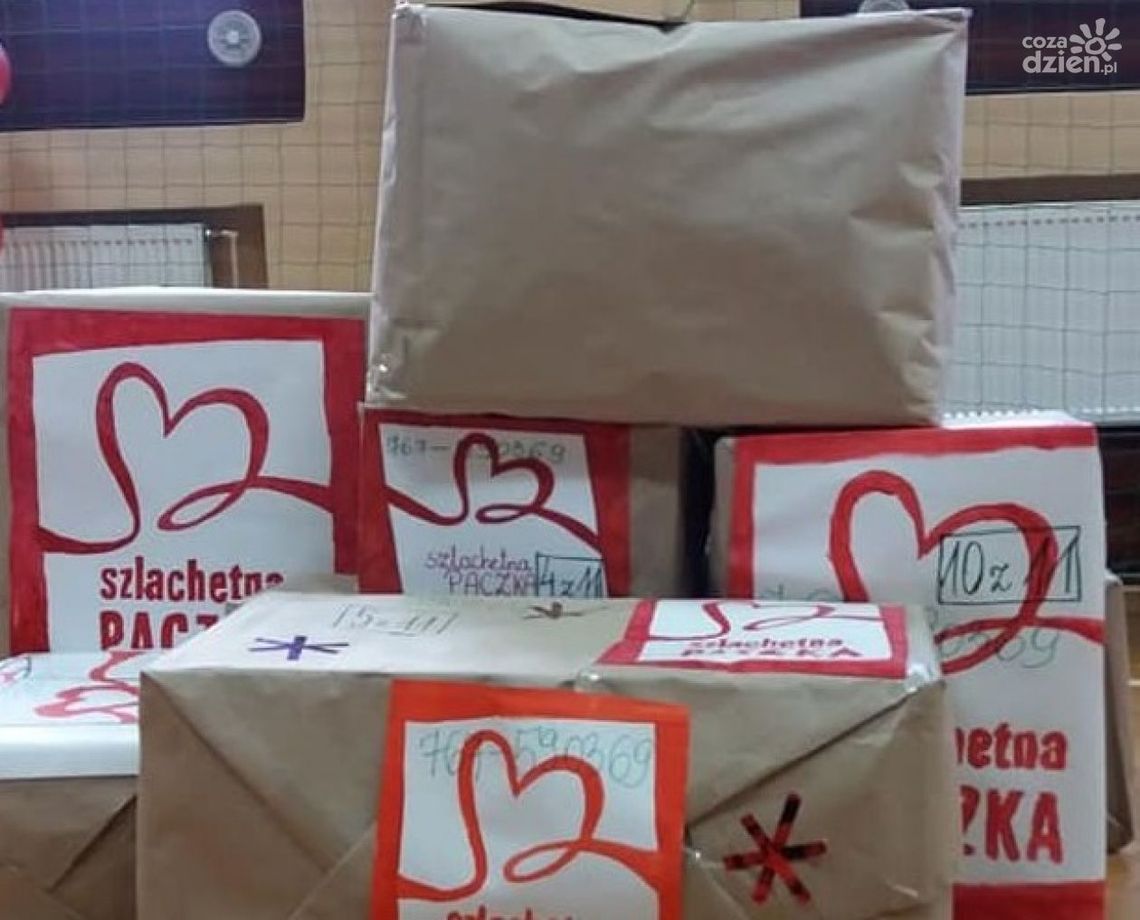 Wolontariusze poszukiwani