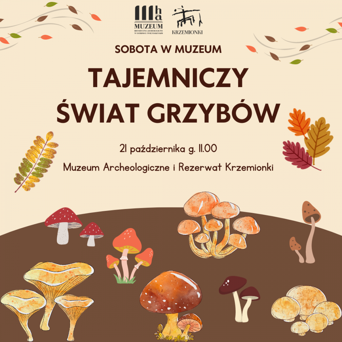 Wracają spotkania z cyklu sobota w muzeum Wracają spotkania z cyklu sobota w muzeum