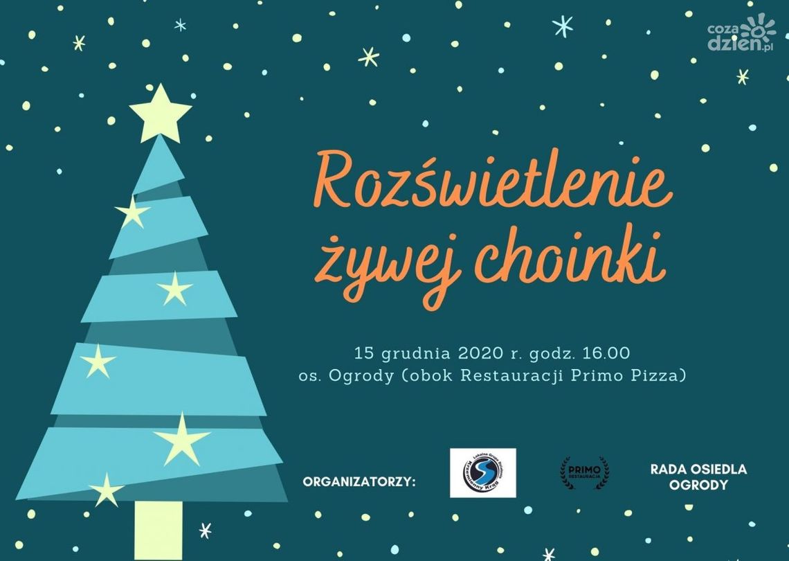 Wspólnie rozświetlmy żywą choinkę Wspólnie rozświetlmy żywą choinkę