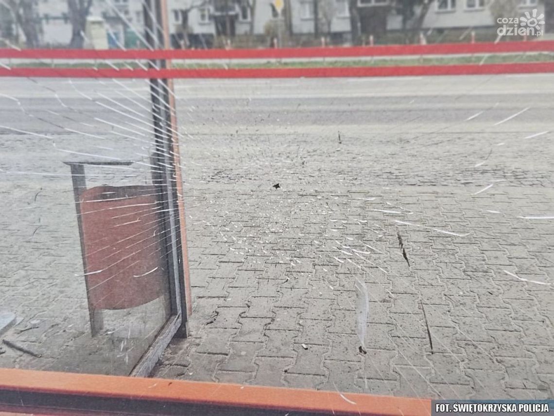 Wybili szybę w wiacie przystankowej. Trzech sprawców ustalonych przez ostrowiecką policję Wybili szybę w wiacie przystankowej. Trzech sprawców ustalonych przez ostrowiecką policję