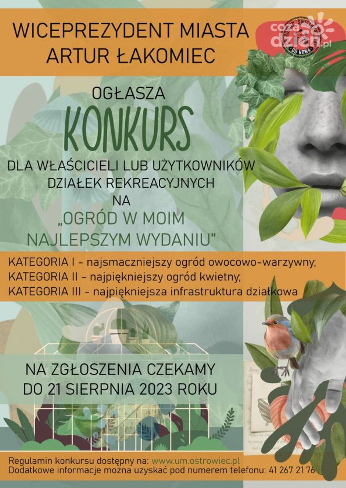 Wybiorą najsmaczniejszy, najbarwniejszy i najciekawszy ogród w Ostrowcu