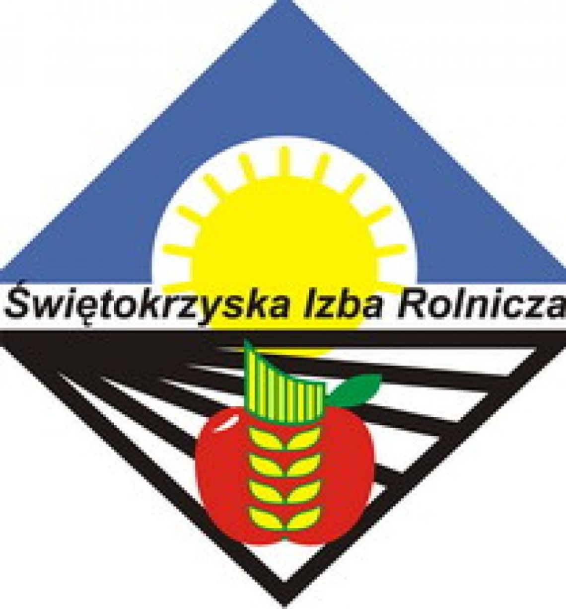 Wybory do rolniczego samorządu Wybory do rolniczego samorządu