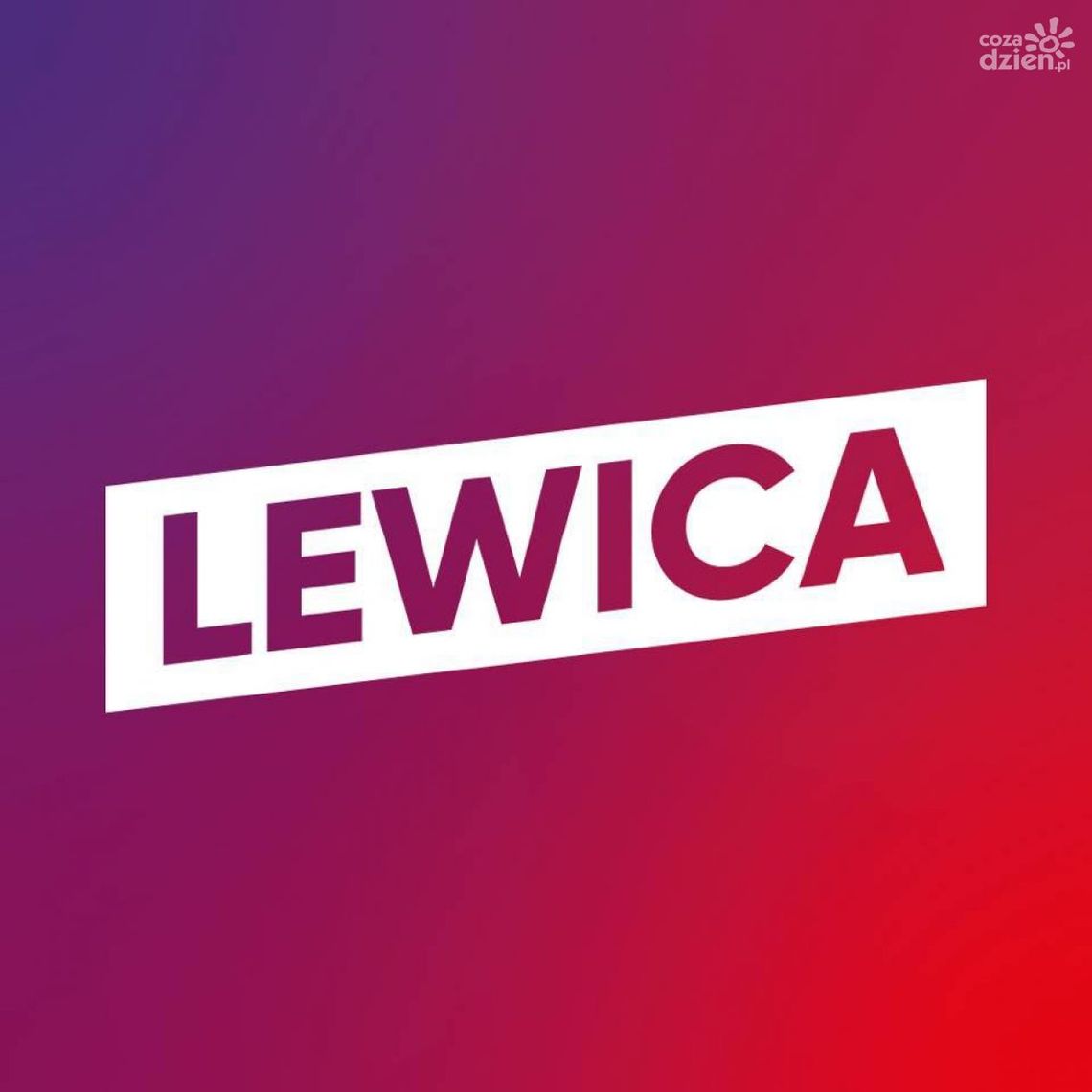 Wybory władz w Nowej Lewicy