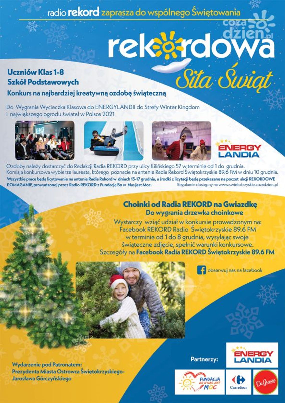 Wygraj Choinki od Radia REKORD - regulamin konkursu Wygraj Choinki od Radia REKORD - regulamin konkursu