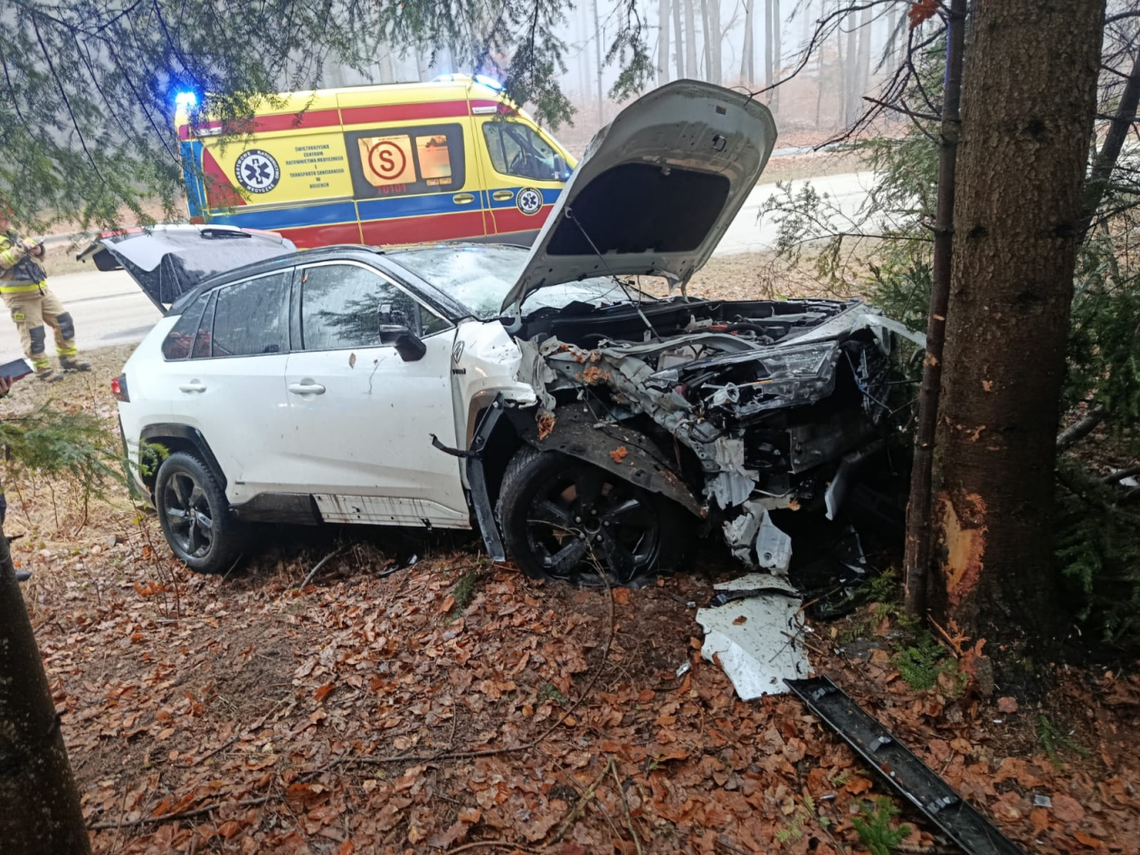 Wypadek na trasie Kielce – Zagnańsk: Kierowca uderzył w drzewo, ucierpiała 4-letnia dziewczynka Wypadek na trasie Kielce – Zagnańsk: Kierowca uderzył w drzewo, ucierpiała 4-letnia dziewczynka