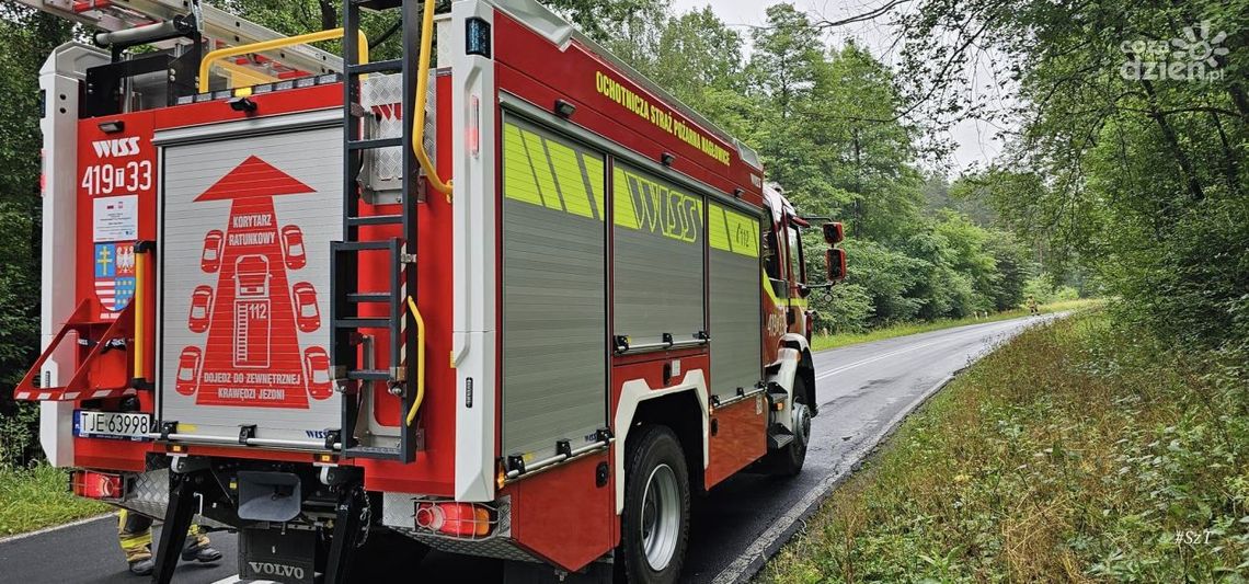 Wypadł z jezdni i ściął drzewo. Droga była zablokowana Wypadł z jezdni i ściął drzewo. Droga była zablokowana