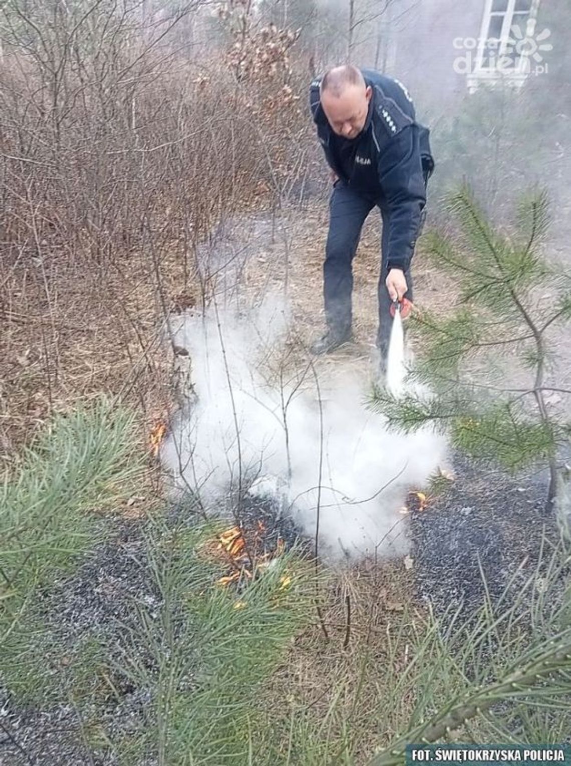 Wypalanie traw jest nielegalne