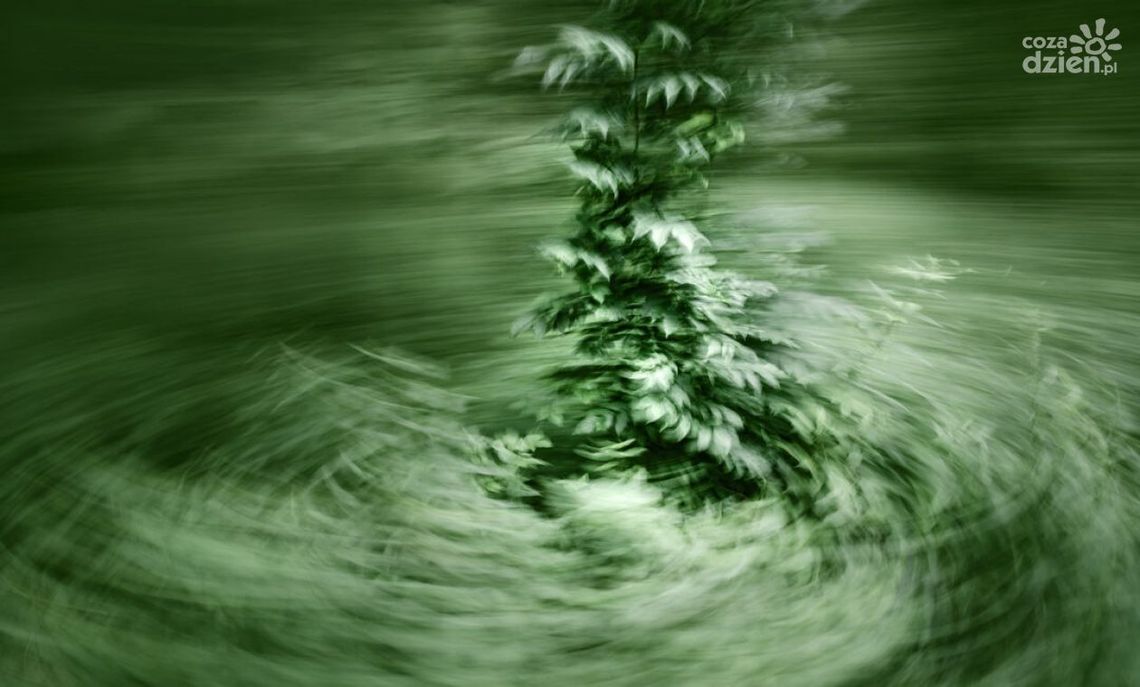 Wystawa „Rok 2022 w obiektywach polskich fotografek” w Kielcach Wystawa „Rok 2022 w obiektywach polskich fotografek” w Kielcach