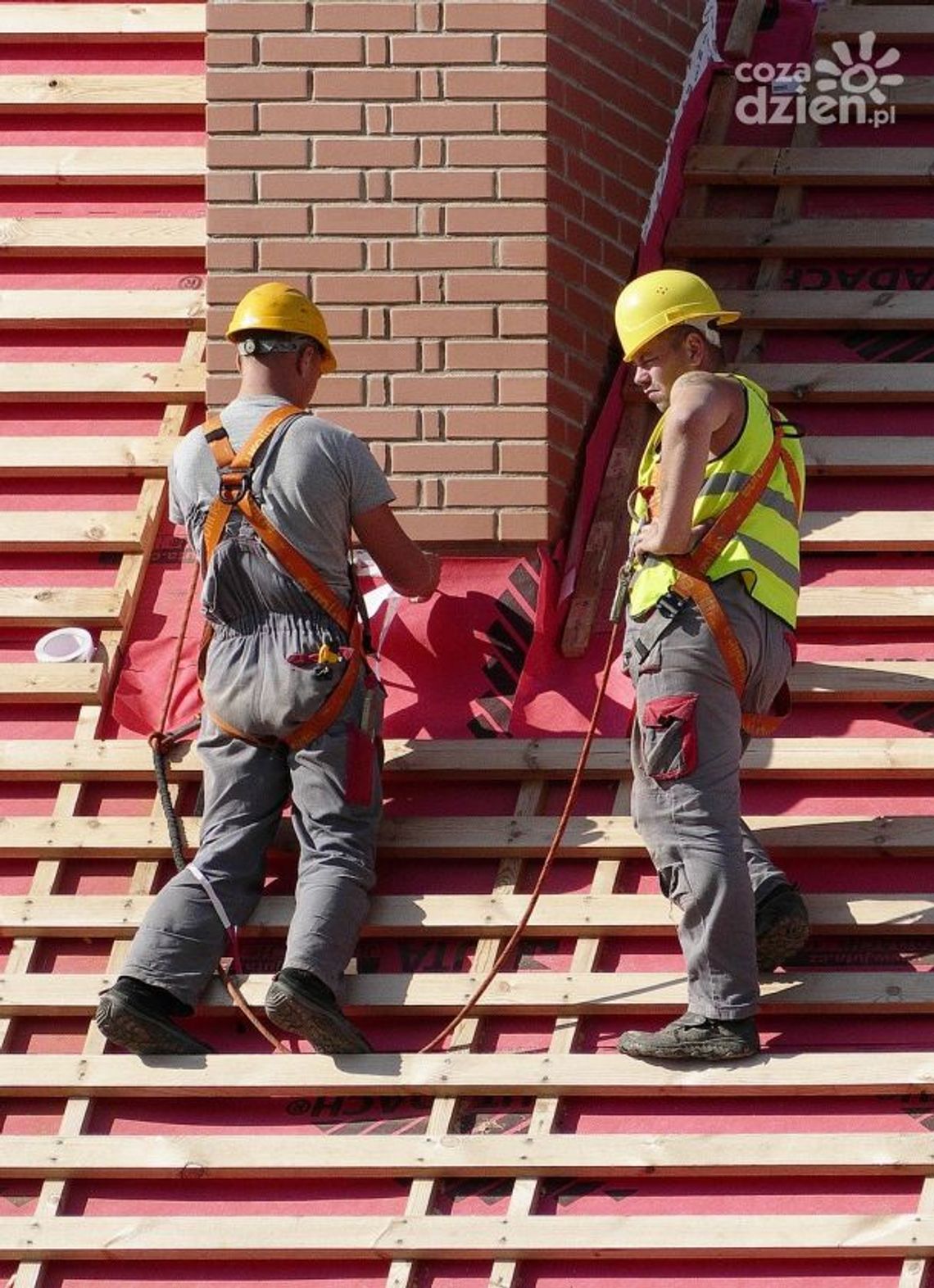 Wytrzymała odzież robocza do zadań specjalnych