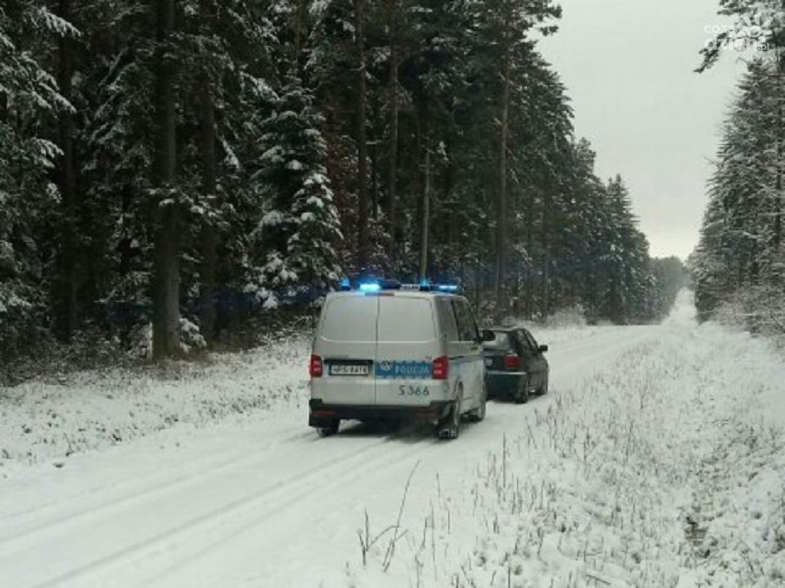 Wzmożone kontrole lasów