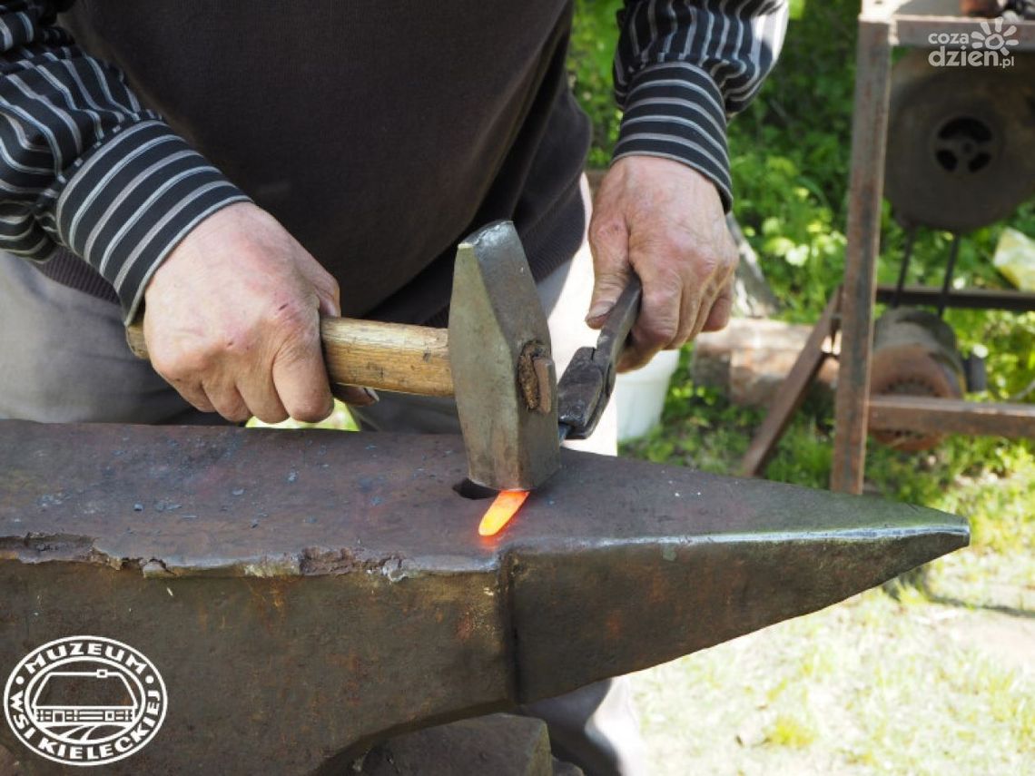 Z Kielc do Tokarni - rusza linia "T"