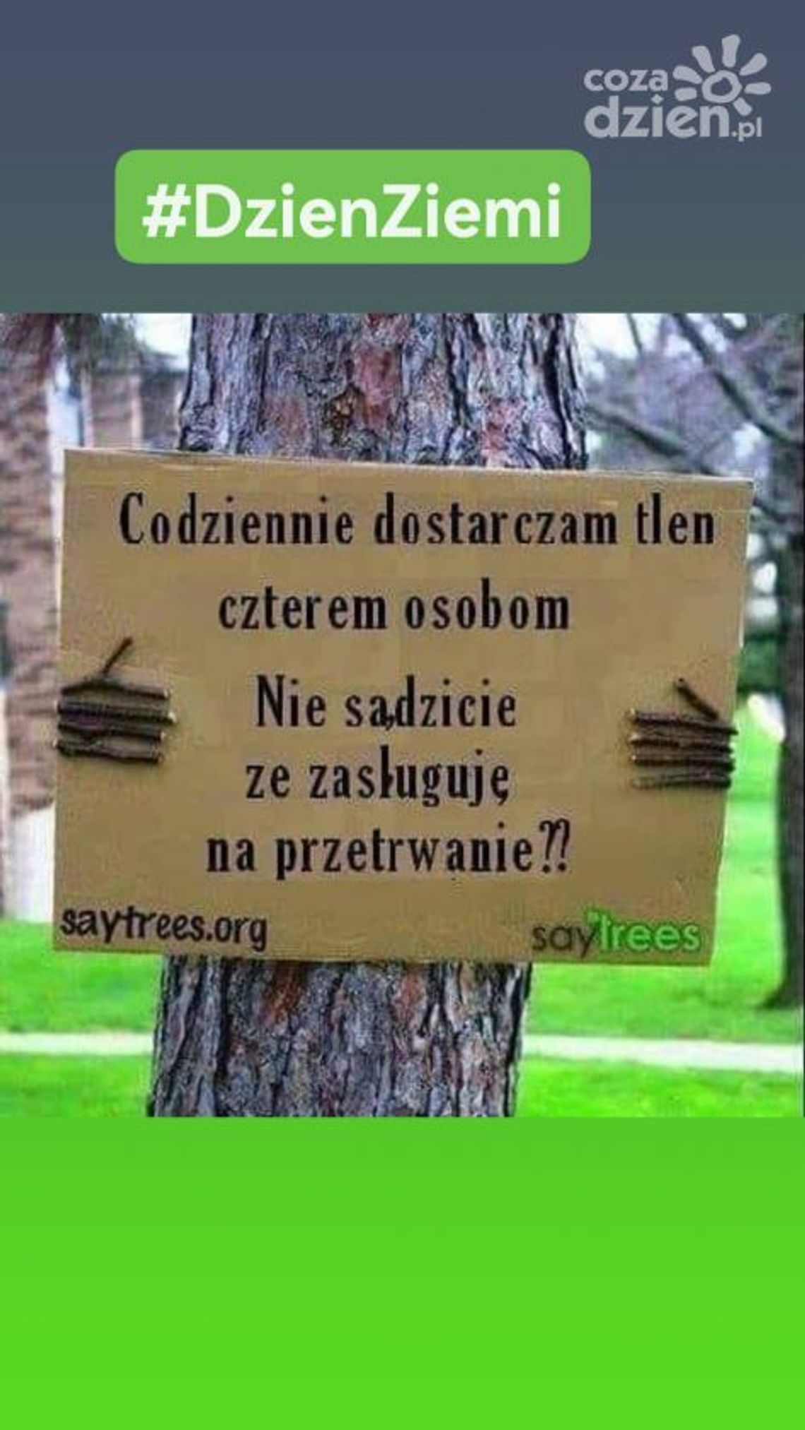 Z troski o naszą Ziemię Z troski o naszą Ziemię