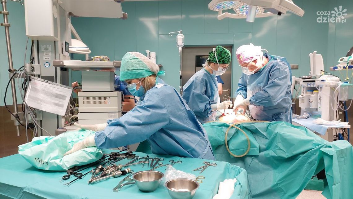 Z zabiegów ginekologicznych i uroginekologicznych można skorzystać w starachowickim Szpitalu Z zabiegów ginekologicznych i uroginekologicznych można skorzystać w starachowickim Szpitalu