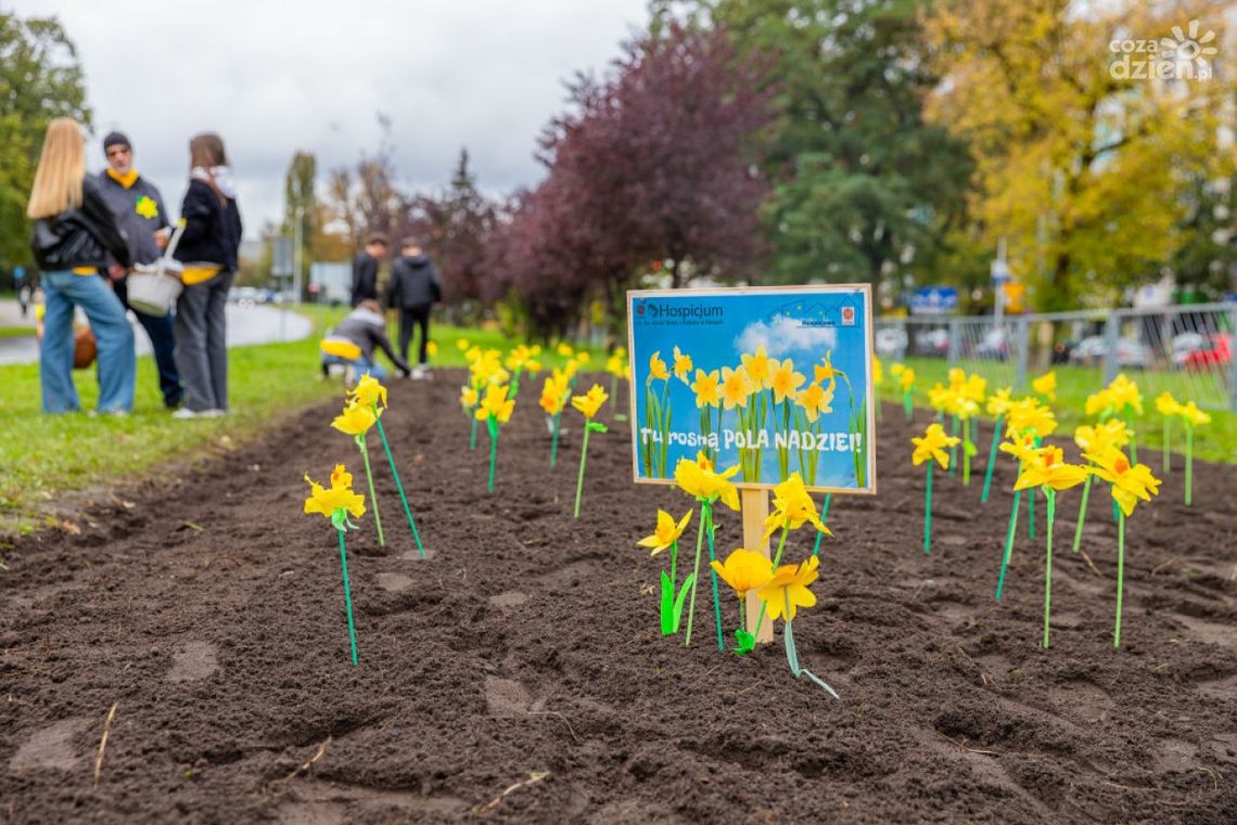 Zainaugurowano świętokrzyską akcję „Pola Nadziei” 2025/2026 Zainaugurowano świętokrzyską akcję „Pola Nadziei” 2025/2026