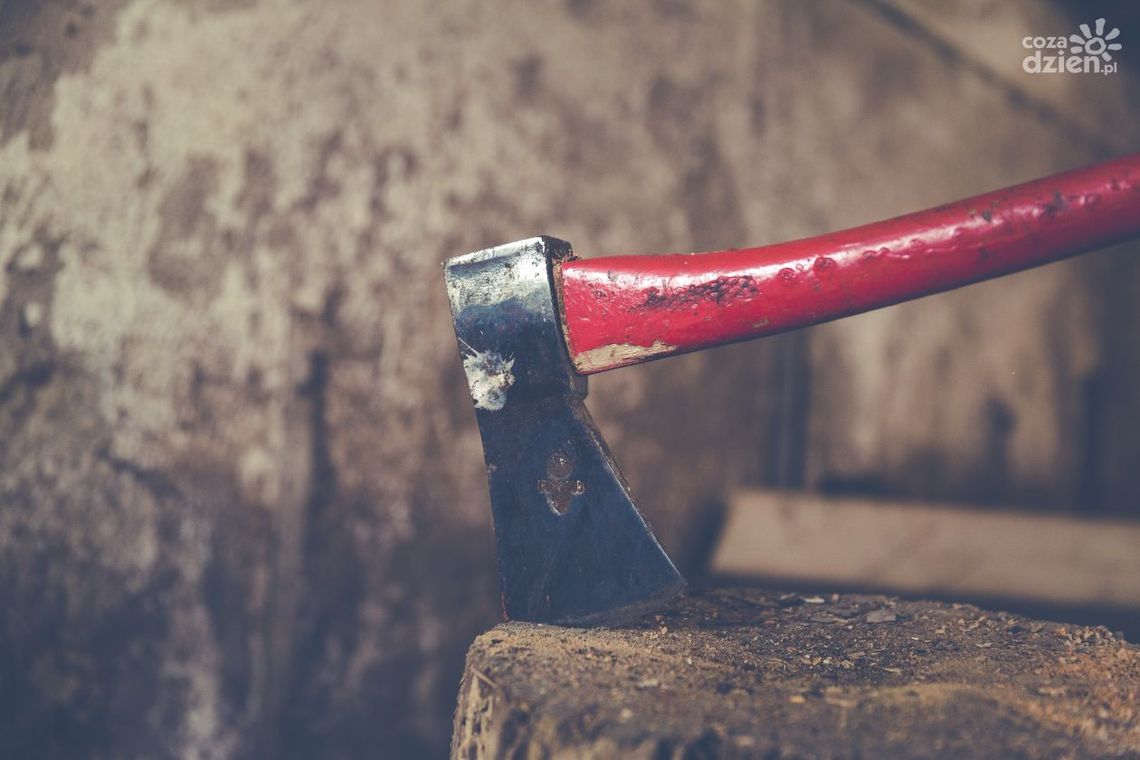 Zakatował siekierą psa swojej matki. Grozi mu 5 lat więzienia Zakatował siekierą psa swojej matki. Grozi mu 5 lat więzienia