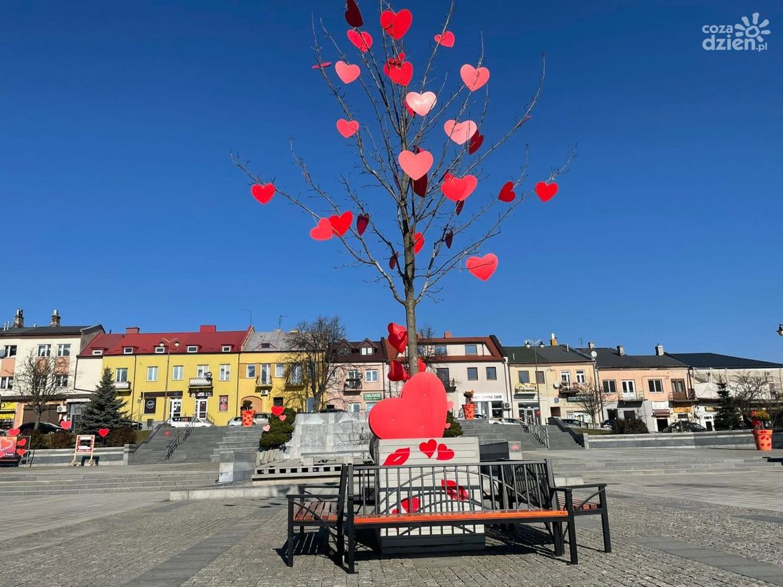 Zakochaj się w Ostrowcu Zakochaj się w Ostrowcu