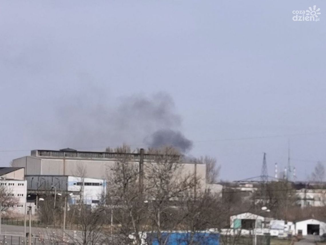 Zamiast kwarantanny podpalają trawę Zamiast kwarantanny podpalają trawę