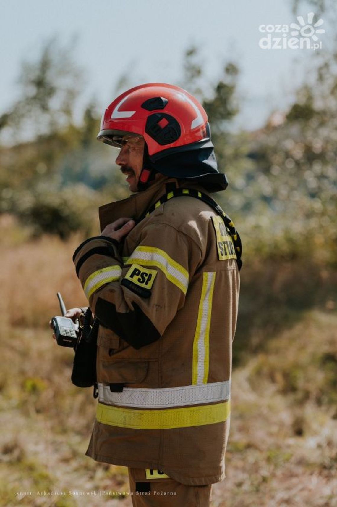 Zatrważająca sytuacja lasów i traw Zatrważająca sytuacja lasów i traw
