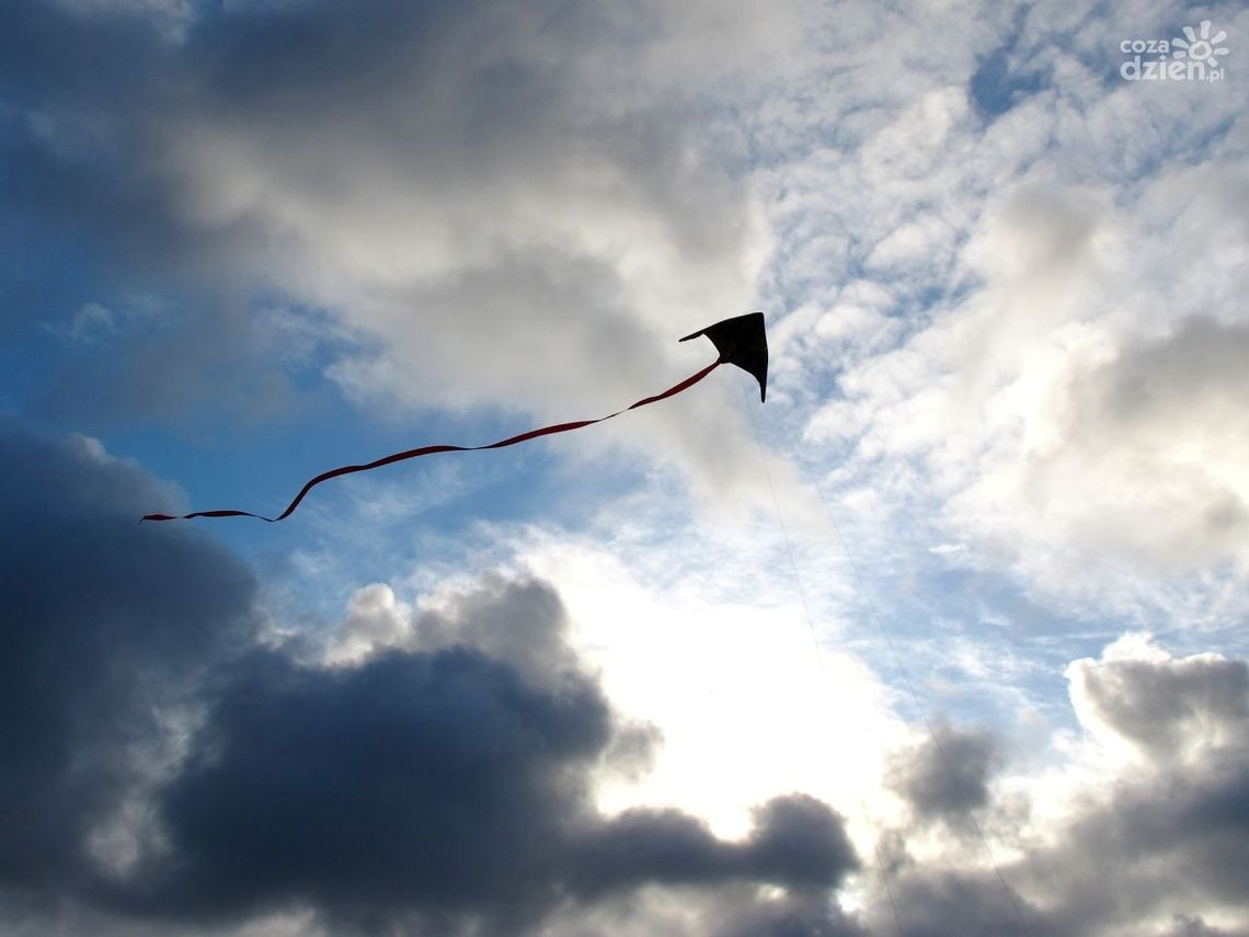 Zawody latawców z okazji Międzynarodowego Dnia Latawca Zawody latawców z okazji Międzynarodowego Dnia Latawca