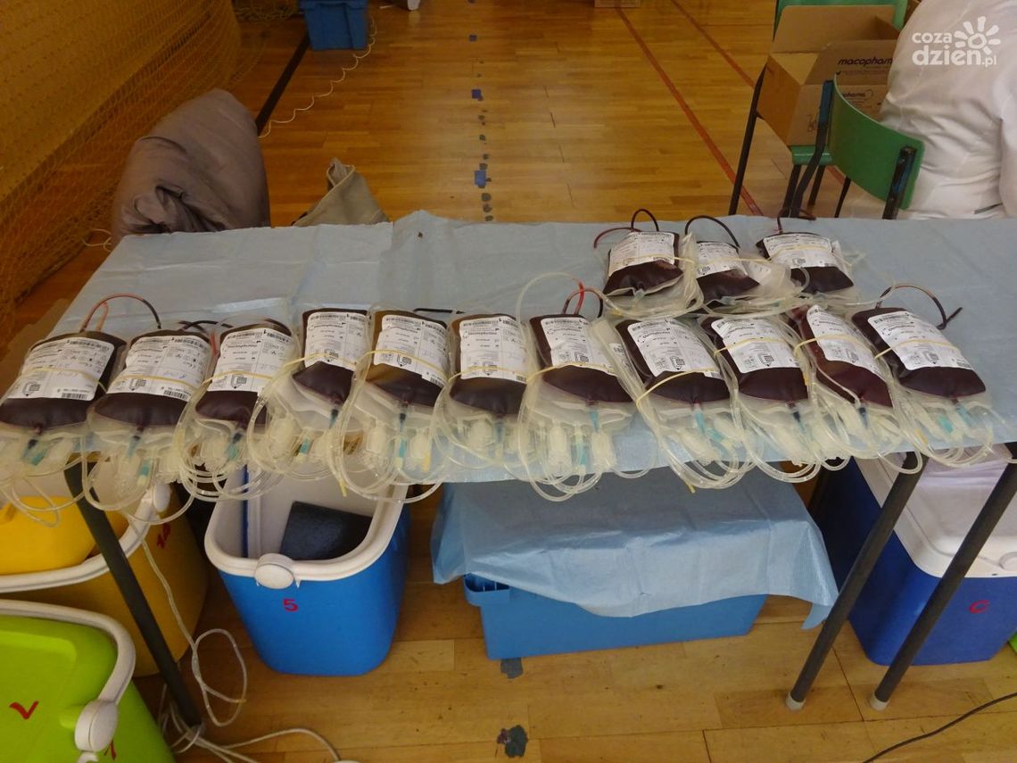 Zbigniew Tobiasz: Krew zamiast kwiatka Zbigniew Tobiasz: Krew zamiast kwiatka