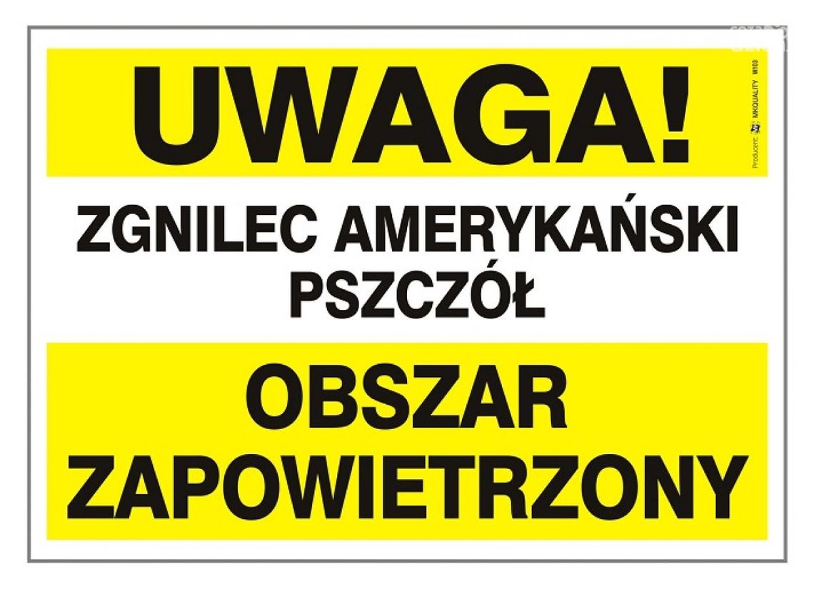 Zgnilec amerykański w Zgórsku Zgnilec amerykański w Zgórsku