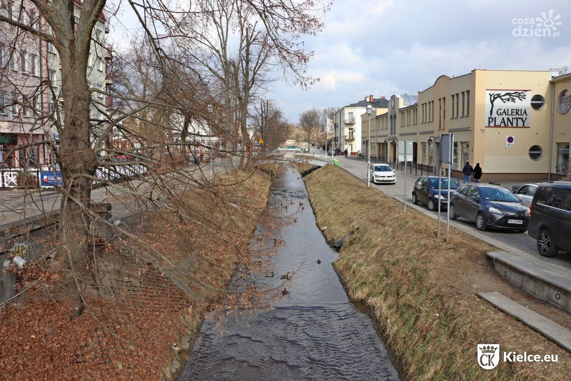 Zieleń Miejska rozpoczęła realizację zleceń na nowe nasadzenia w Kielcach Zieleń Miejska rozpoczęła realizację zleceń na nowe nasadzenia w Kielcach