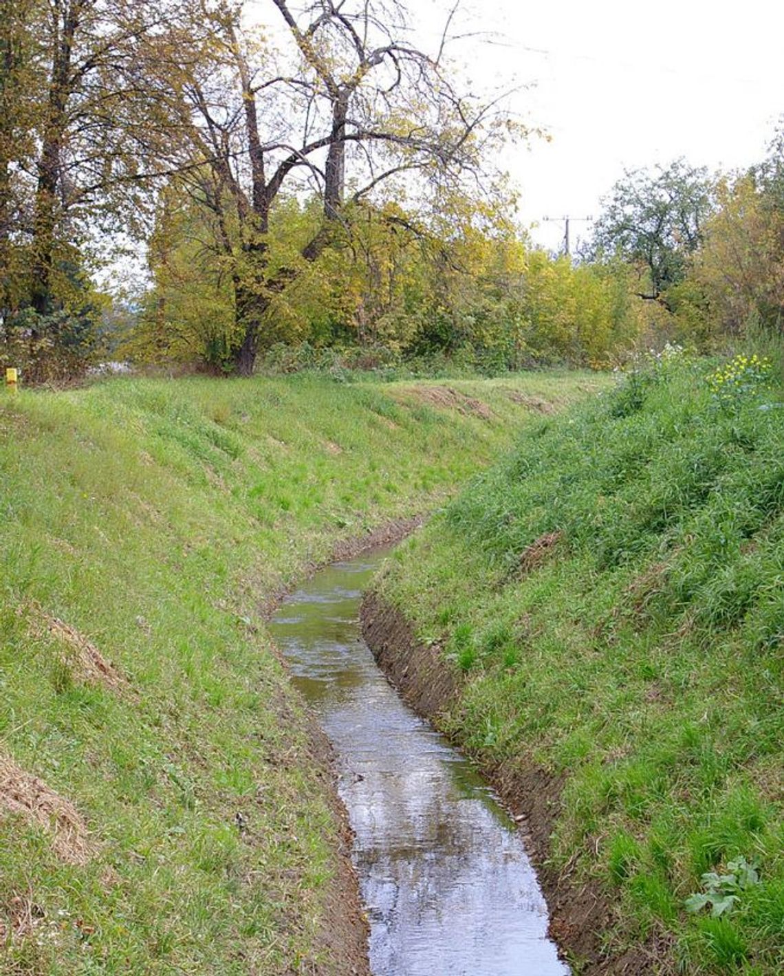 Zielone światło dla ujarzmienia Modły! Zielone światło dla ujarzmienia Modły!