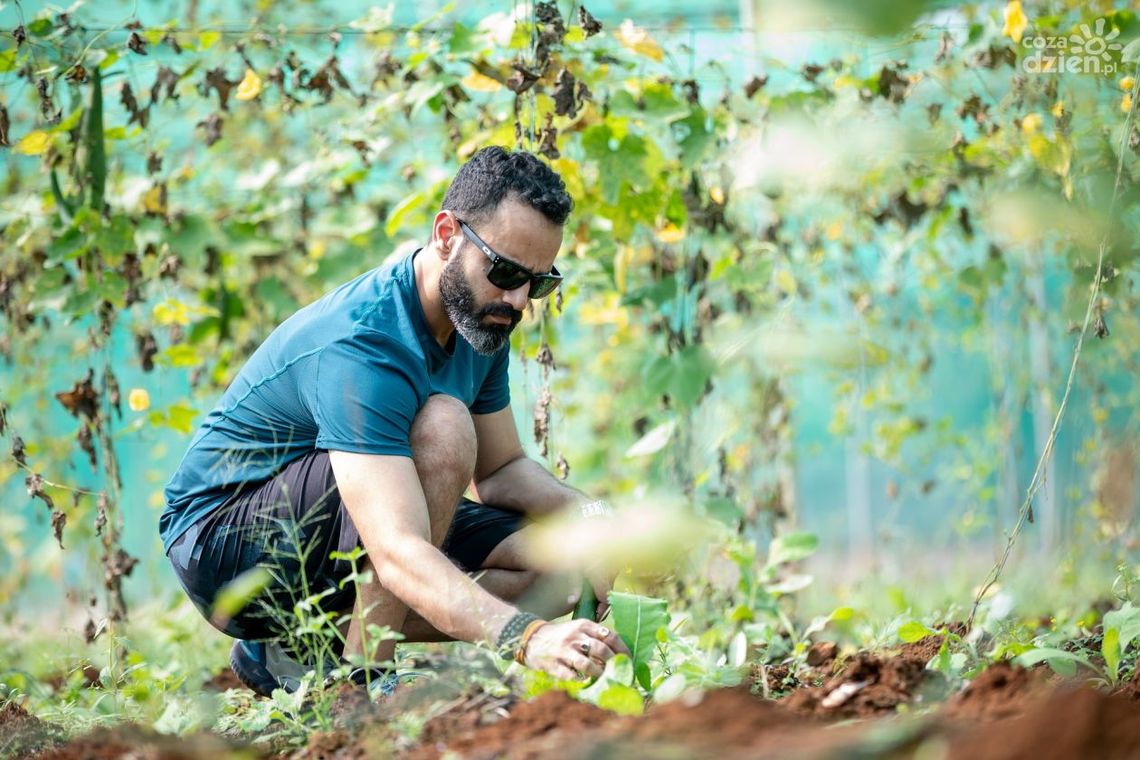 Zielone terapie - Jak ogrodnictwo wpływa na zdrowie psychiczne Zielone terapie - Jak ogrodnictwo wpływa na zdrowie psychiczne