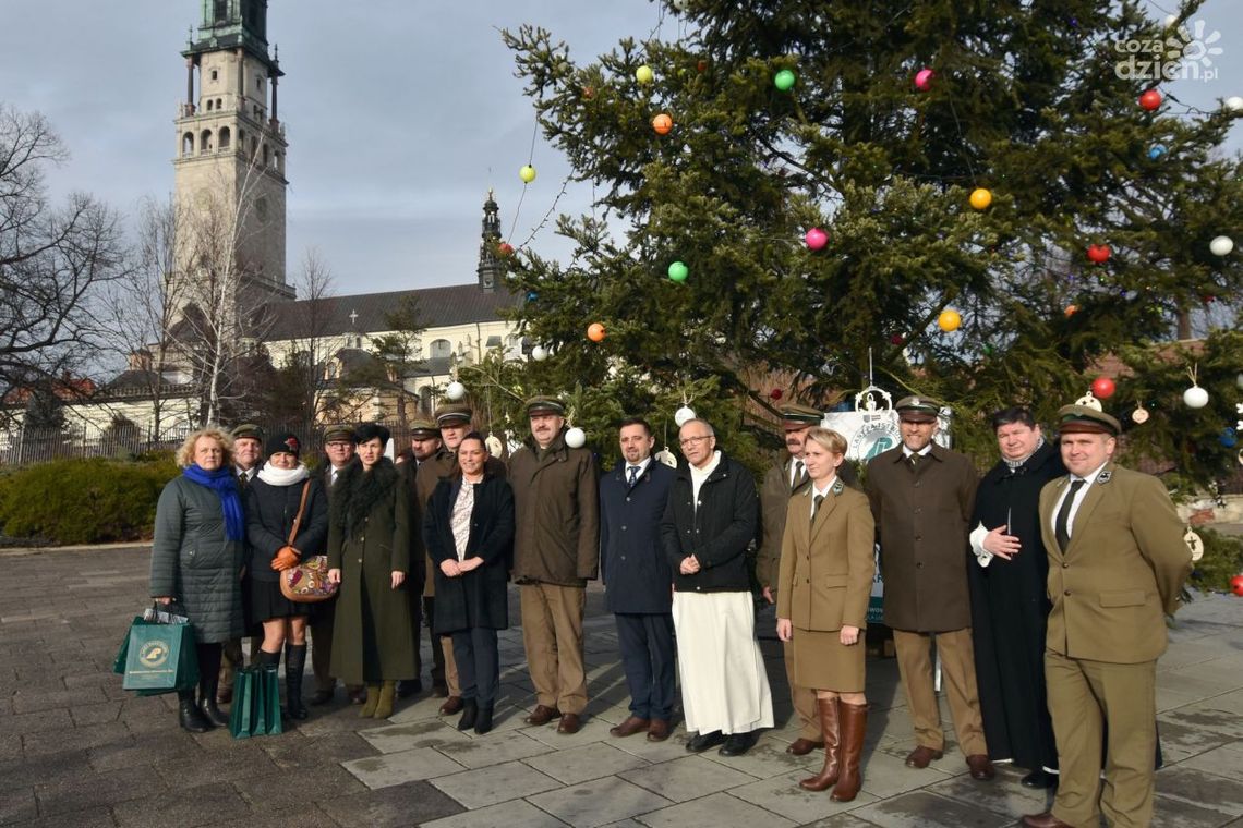 Zielony dar z ostrowieckich lasów już na Jasnej Górze Zielony dar z ostrowieckich lasów już na Jasnej Górze