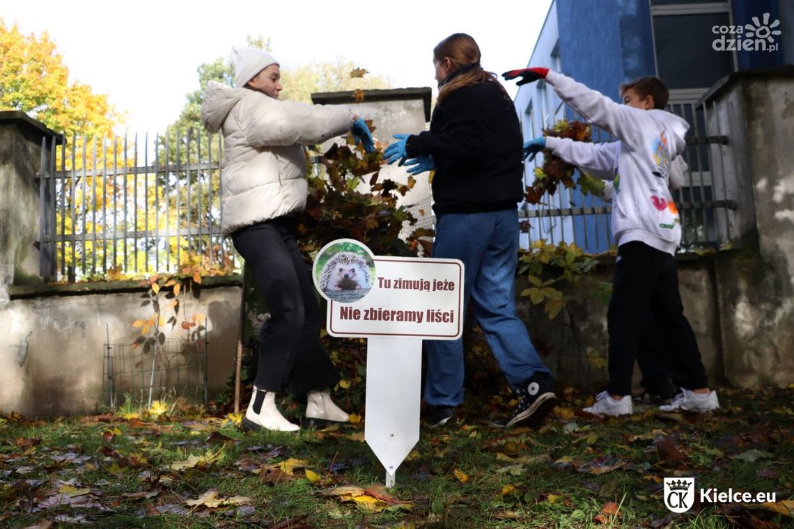 Zimowe „miejscówki” dla jeży