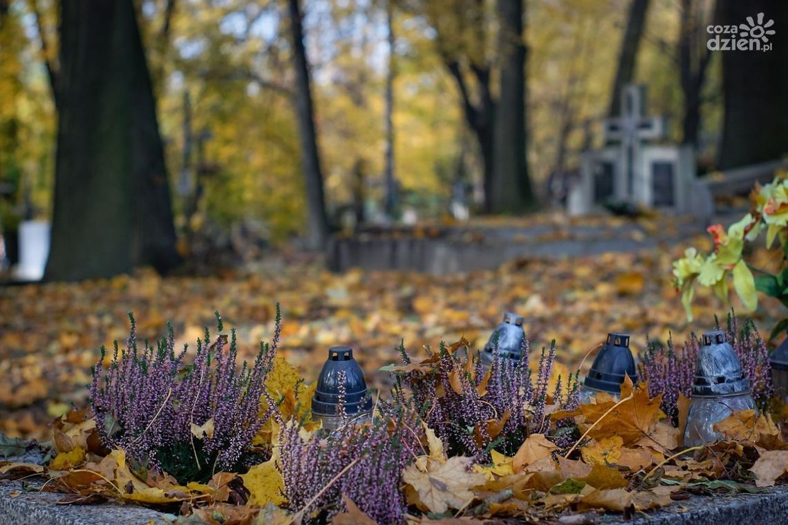 Zmienna pogoda we Wszystkich Świętych i Dzień Zaduszny 