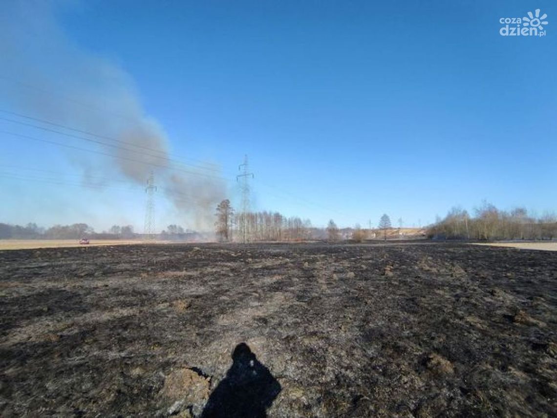 Znowu płoną trawy Znowu płoną trawy