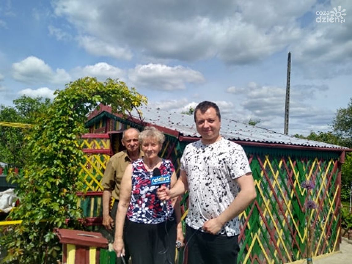 Zofia i Stanisław Dzioba: Do prowadzenia działki trzeba mieć serce do roślin, a one to odwzajemniają Zofia i Stanisław Dzioba: Do prowadzenia działki trzeba mieć serce do roślin, a one to odwzajemniają