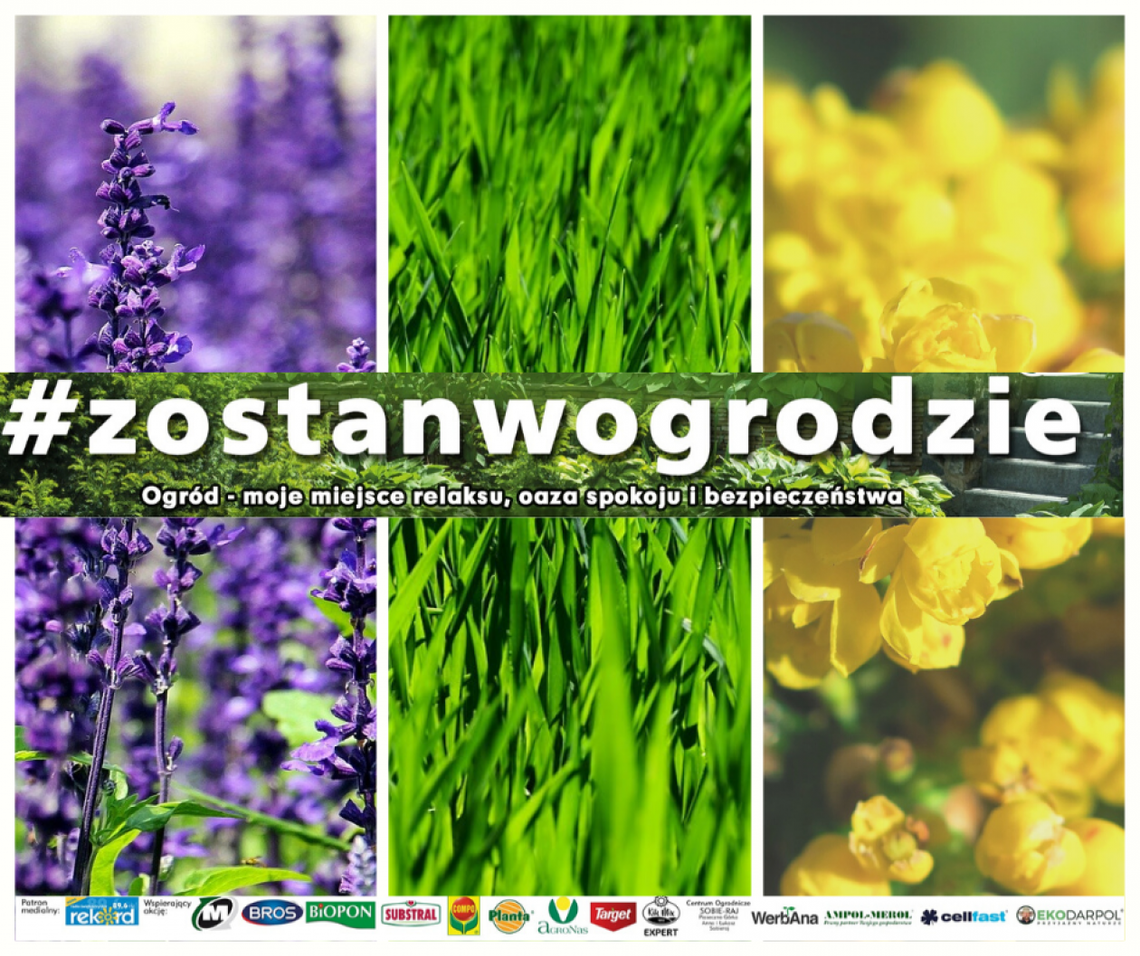 "Zostań w ogrodzie" - trawnik