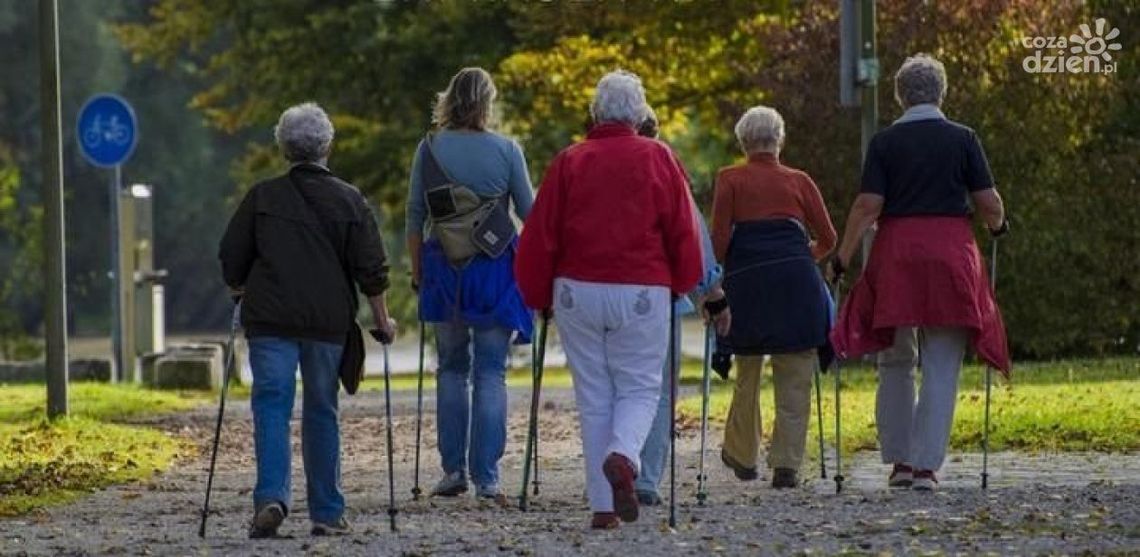 Zumba, aerobik, siłownia, basen i "kijki" Zumba, aerobik, siłownia, basen i "kijki"