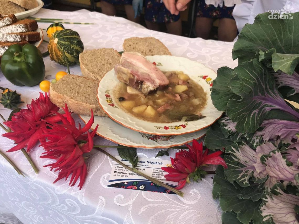 Zupa Koła Gospodyń Wiejskich z Jacentowa podbiła serca jurorów Zupa Koła Gospodyń Wiejskich z Jacentowa podbiła serca jurorów