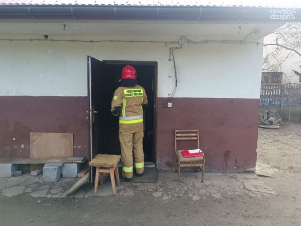 Zwęglone zwłoki, wygaśnięty pożar Zwęglone zwłoki, wygaśnięty pożar