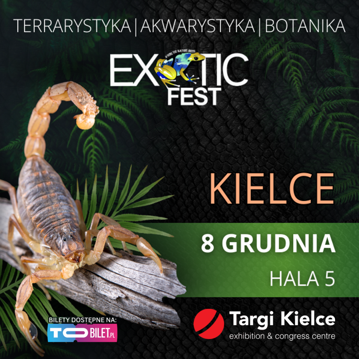 Zwierzęca radość w "mikołajkowy" weekend na Targach Kielce! Zwierzęca radość w "mikołajkowy" weekend na Targach Kielce!