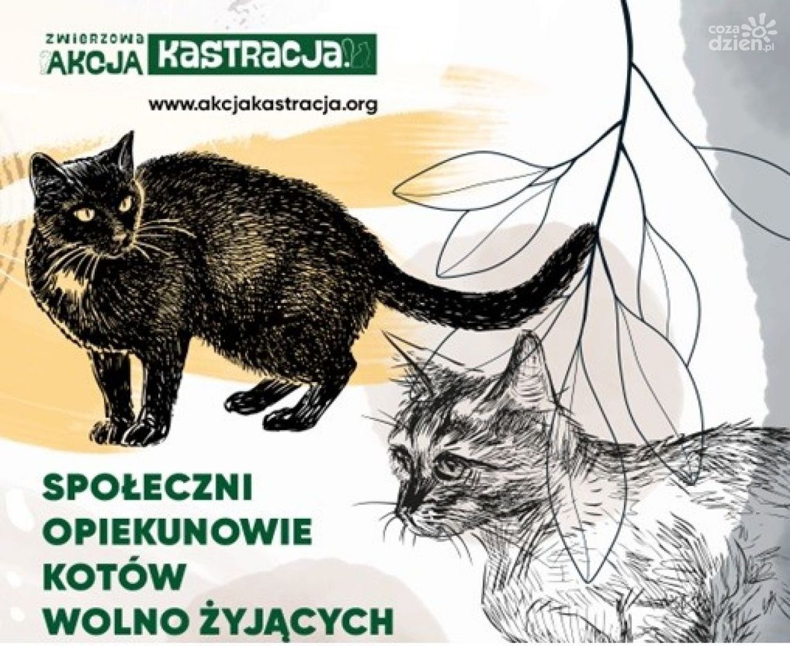 Zwierzowa Akcja Kastracja zakończona Zwierzowa Akcja Kastracja zakończona