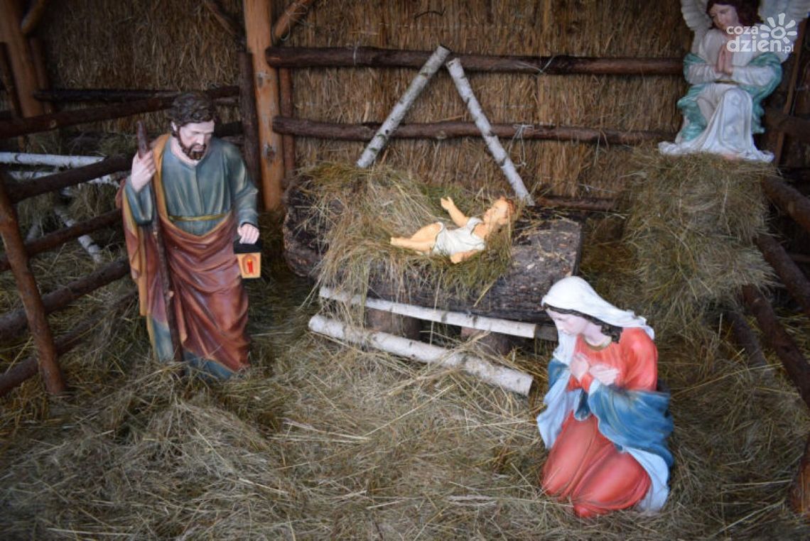 Żywa szopka i wigilia dla ubogich w Sandomierzu Żywa szopka i wigilia dla ubogich w Sandomierzu