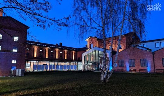 Niebieski Ostrowiecki Browar Kultury Niebieski Ostrowiecki Browar Kultury